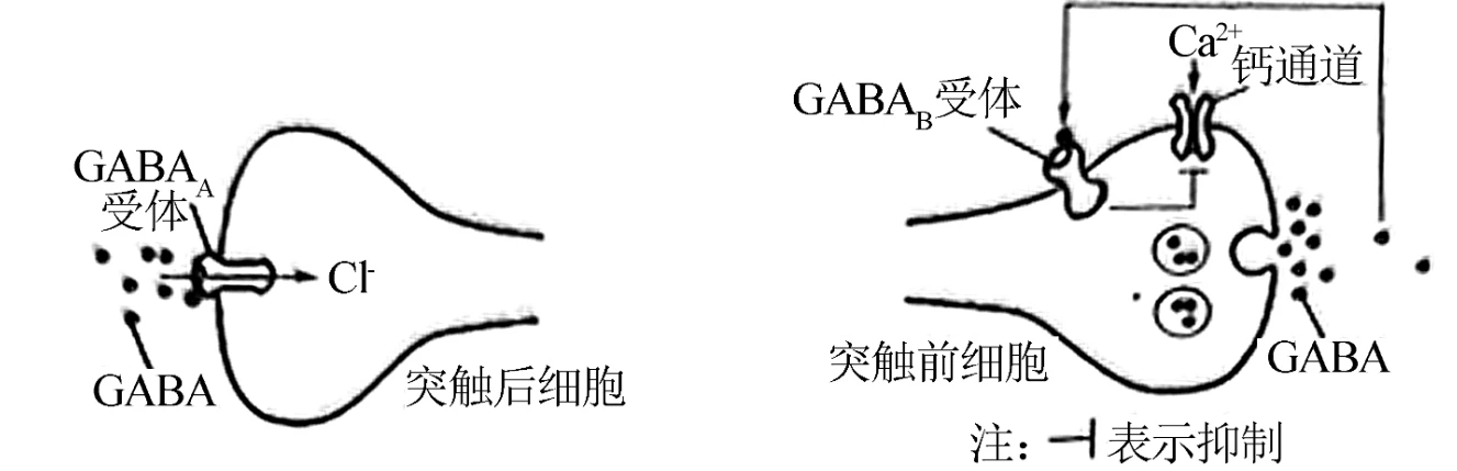 Antide acetate uses | Shaanxi BLOOM Tech Co., Ltd Antide acetate uses | Shaanxi BLOOM Tech Co., Ltd